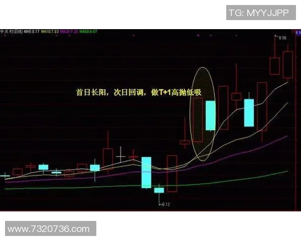 马儿究竟是指哪位足球明星揭开神秘面纱的背后故事
