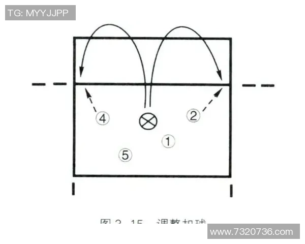 西安排球队反击战术深度解析与战术应用探讨