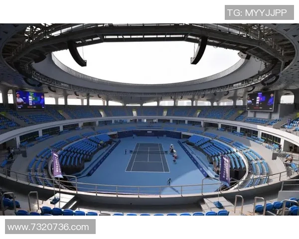 王磊独家分享网球心得与技巧助你提升球技的全面指南